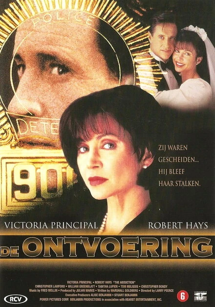 Постер Похищение 1996