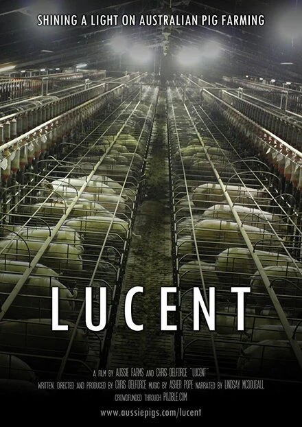 Постер Lucent 2014