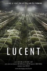 Lucent 2014 постер