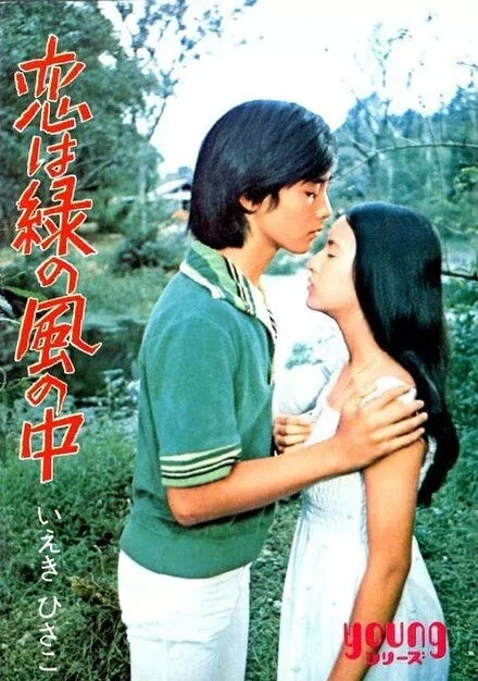 Постер Любовь в зелёной долине 1974