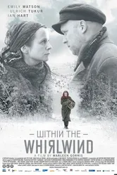Внутри вихря 2009 постер