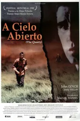 Карьер 1998 постер