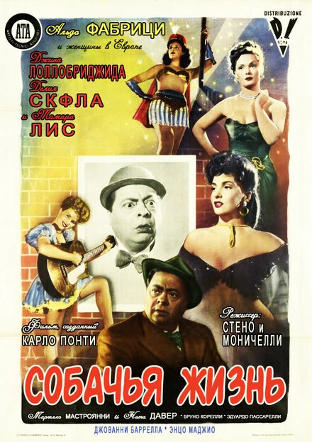 Постер Собачья жизнь 1950