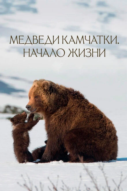 Постер Медведи Камчатки. Начало жизни 2018