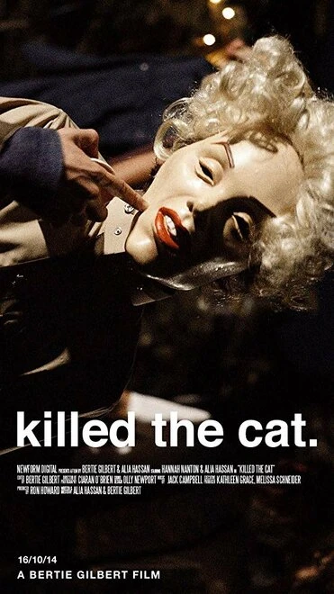 Постер Killed the Cat
