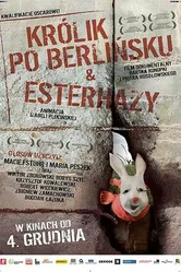 Эстерхази 2009 постер