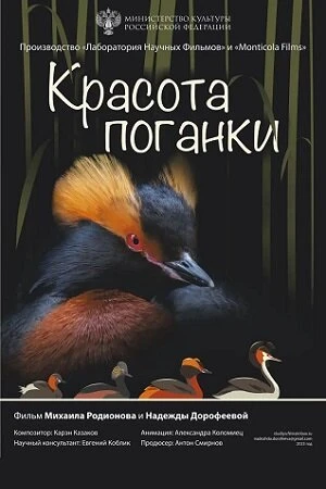 Красота поганки постер