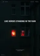 Как лошади под дождем 2024 постер