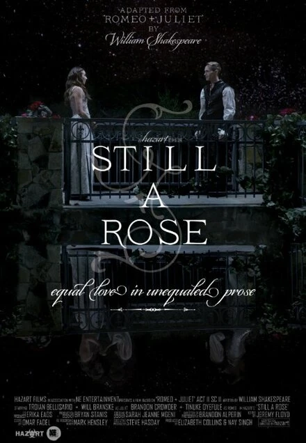 Постер Still a Rose