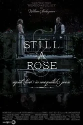 Still a Rose постер