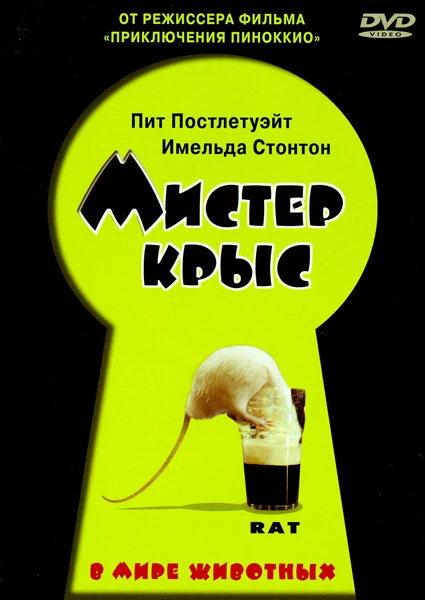 Постер Мистер крыс 2000