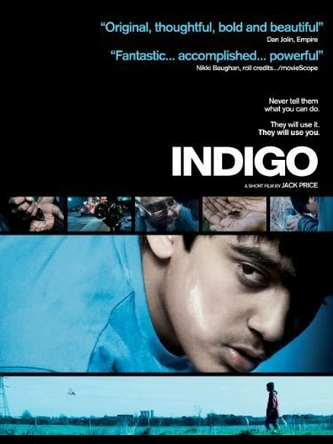 Постер Индиго 2010