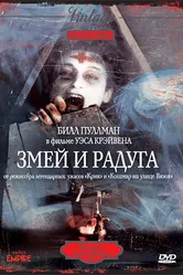 Змей и радуга 1987 постер