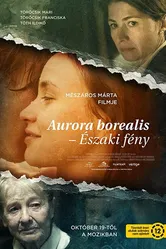 Аврора Бореалис: Северное сияние 2017 постер