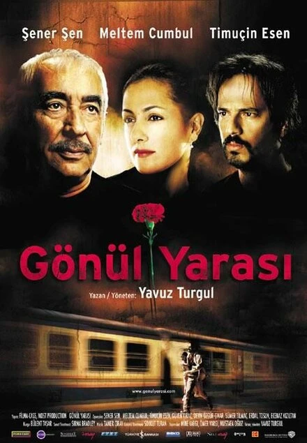 Постер Душевная рана 2005