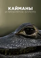 Кайманы и обреченные болота, документальный постер