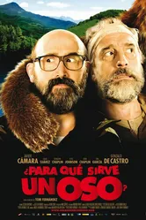 Для чего служит медведь? 2011 постер