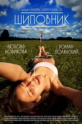 Шиповник 2011 постер