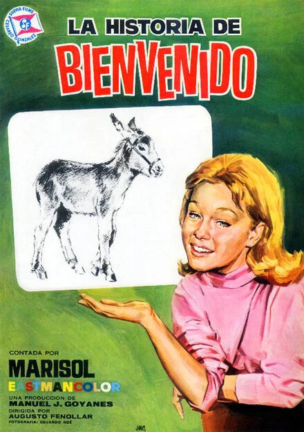 Постер La historia de Bienvenido