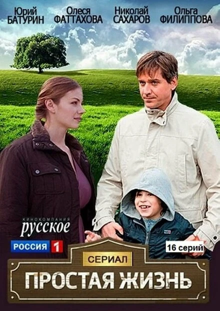 Постер Простая жизнь 2013