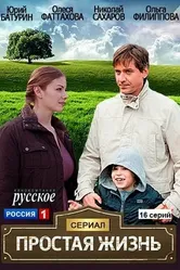 Простая жизнь 2013 постер