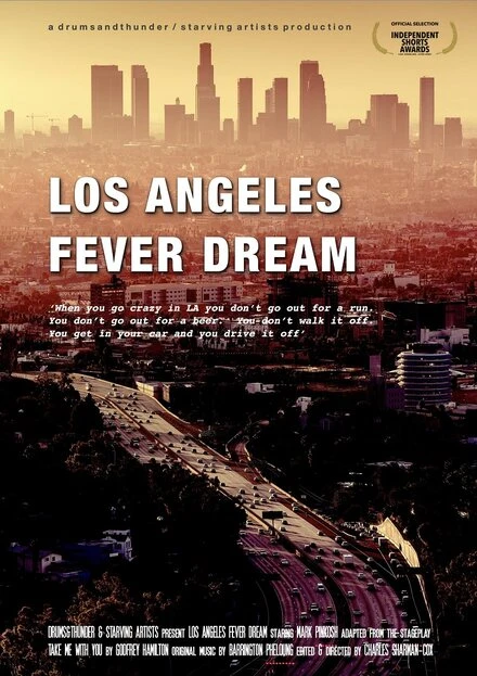 Постер Los Angeles Fever Dream