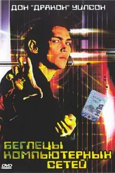 Беглецы компьютерных сетей 1995 постер