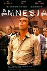 Амнезия 2004 постер