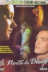 Ночь желаний 1973 постер