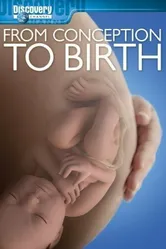 From Conception to Birth постер