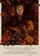 Noche Sin Luciérnagas постер