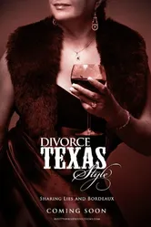 Divorce Texas Style 2009 постер