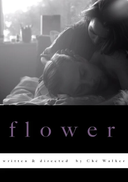 Постер Flower 2017, США