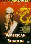 Американский Шаолинь 1991 постер