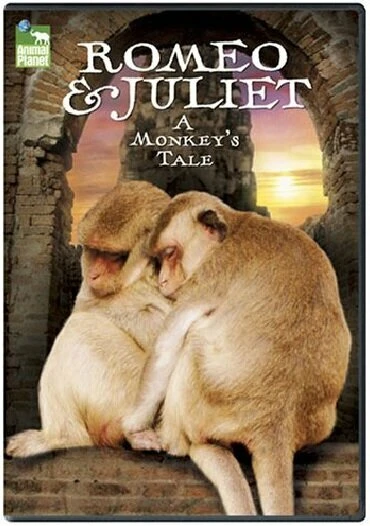 Постер Romeo & Juliet: A Monkey's Tale