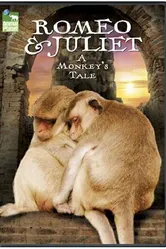 Romeo & Juliet: A Monkey's Tale постер