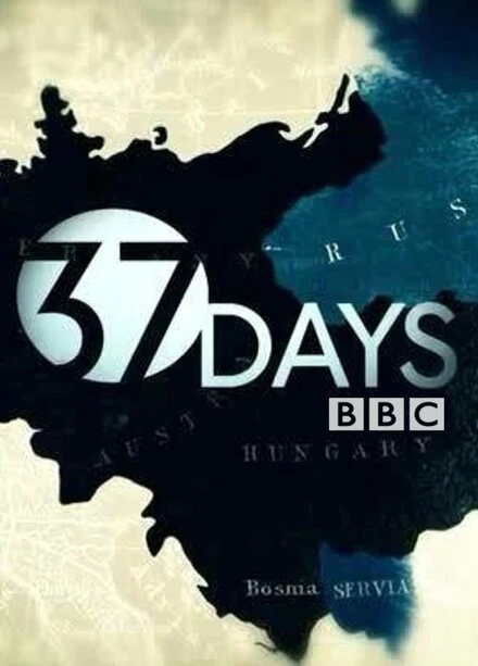 Постер 37 дней 2014