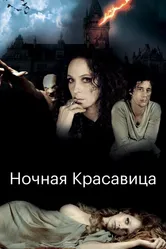 Ночная красавица 2013 постер