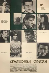 Тростниковый лес 1971 постер