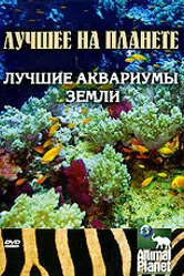 Animal Planet: Лучшие аквариумы земли 2007 постер