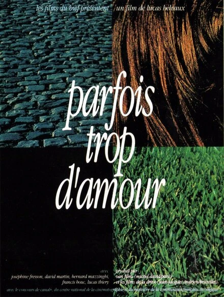 Постер Parfois trop d'amour