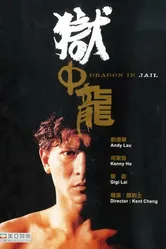 Дракон в тюрьме 1990 постер