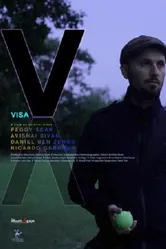 Виза 2013 постер