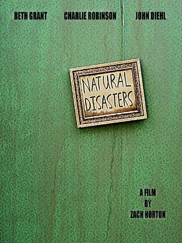 Постер Natural Disasters 2008