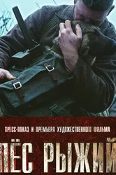 Пёс рыжий 2016 постер