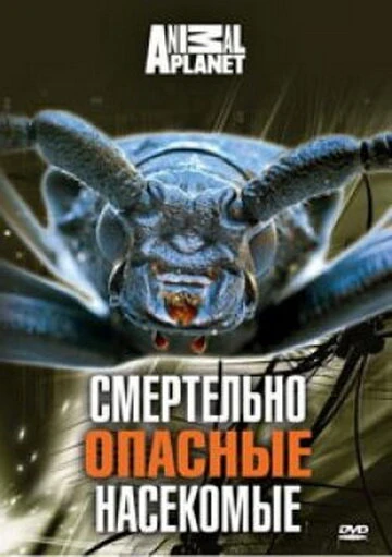 Постер Animal Planet: Смертельно опасные насекомые 1998