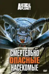 Animal Planet: Смертельно опасные насекомые 1998 постер