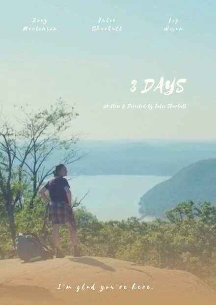 Постер 3 Days 2019