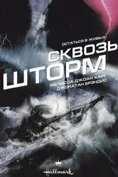 Сквозь шторм 1997 постер