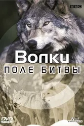 BBC: Поле битвы 2003 постер